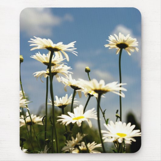 Daisy Flowers Mousepad Muismat (Voorkant)
