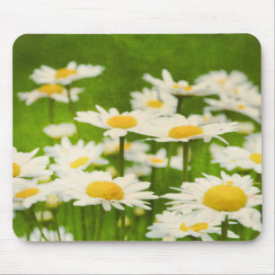 Daisy Flowers Muismat