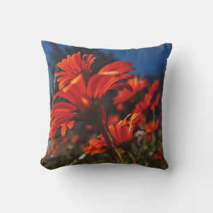 Daisy Flowers Oranje Blue Cushion Sierkussen