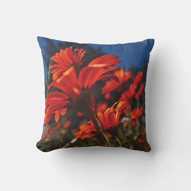 Daisy Flowers Oranje Blue Cushion Sierkussen (Voorkant)