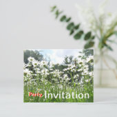 Daisy Flowers Party Invitation Briefkaart (Staand voorkant)