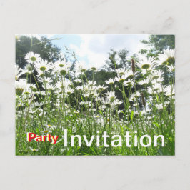 Daisy Flowers Party Invitation Briefkaart
