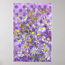 Daisy Flowers Polka Dot Zomer Bloemen Bloemen Bloe