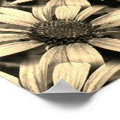Daisy Flowers Spiegel Sepia Abstract Poster (Hoek)