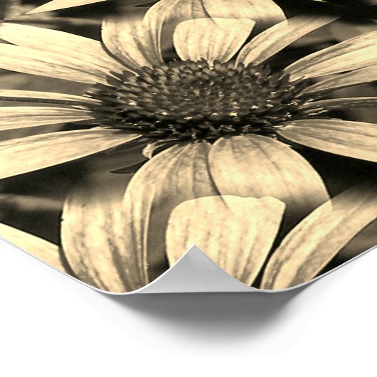 Daisy Flowers Spiegel Sepia Abstract Poster (Hoek)