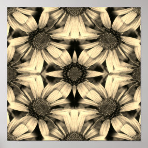 Daisy Flowers Spiegel Sepia Abstract Poster