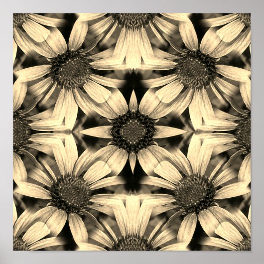 Daisy Flowers Spiegel Sepia Abstract Poster (Voorkant)