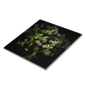 Daisy, Flowers Tegeltje (Zijkant)