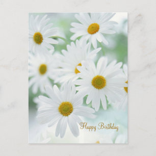 Daisy Flowers - Verjaardag Briefkaart