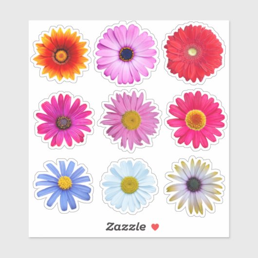 Daisy Flowers Vinyl Sticker (Vel)