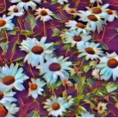 DAISY FLOWERS VLAGGETJES