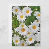 Daisy Flowers Vrijgezellenfeest Kaart (Achterkant)