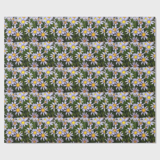 Daisy Flowers, White Yellow Flower, Natuur Daisies Cadeaupapier (Vlak)