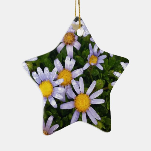 Daisy Flowers, White Yellow Flower, Natuur Daisies Keramisch Ornament (Rechts)