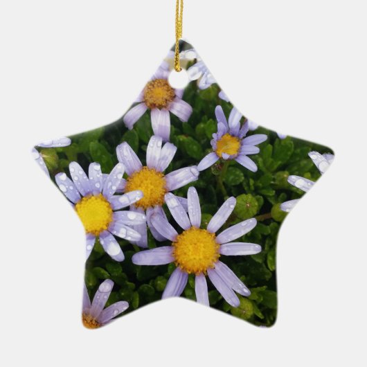 Daisy Flowers, White Yellow Flower, Natuur Daisies Keramisch Ornament (Voorkant)