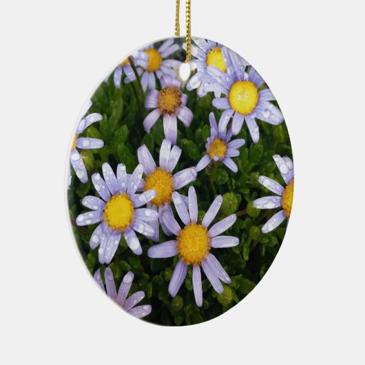 Daisy Flowers, White Yellow Flower, Natuur Daisies Keramisch Ornament (Rechts)