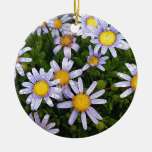 Daisy Flowers, White Yellow Flower, Natuur Daisies Keramisch Ornament