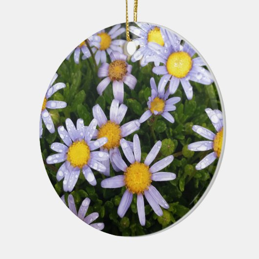 Daisy Flowers, White Yellow Flower, Natuur Daisies Keramisch Ornament (Links)