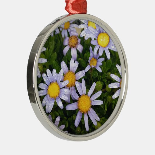 Daisy Flowers, White Yellow Flower, Natuur Daisies Metalen Ornament (Rechts)