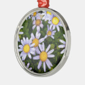 Daisy Flowers, White Yellow Flower, Natuur Daisies Metalen Ornament (Links)
