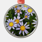 Daisy Flowers, White Yellow Flower, Natuur Daisies Metalen Ornament (Voorkant)