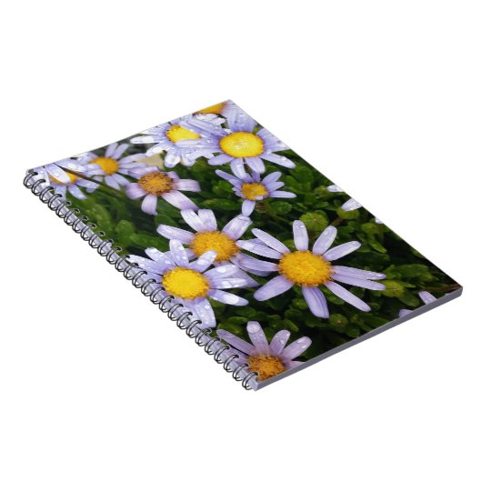Daisy Flowers, White Yellow Flower, Natuur Daisies Notitieboek (Rechterzijde)