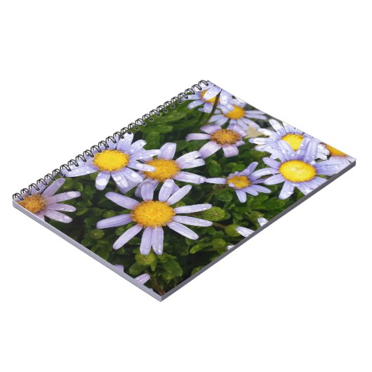 Daisy Flowers, White Yellow Flower, Natuur Daisies Notitieboek (Linkerzijde)