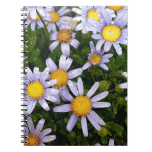 Daisy Flowers, White Yellow Flower, Natuur Daisies Notitieboek