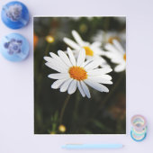 Daisy Flyer (Enkel)