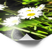 Daisy Foto Afdruk (Hoek)