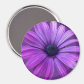 Daisy Fridge Magnet Blue Flower Daisy Gifts (Voorkant / Achterkant)