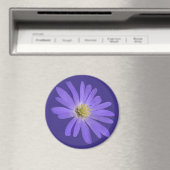 Daisy Fridge Magnet Blue Flower Daisy Gifts (Insitu (Vaatwasser))