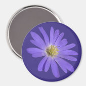 Daisy Fridge Magnet Blue Flower Daisy Gifts (Voorkant / Achterkant)