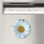 Daisy Fridge Magnet Cheerful Flower Daisy Gifts (Insitu (Vaatwasser))