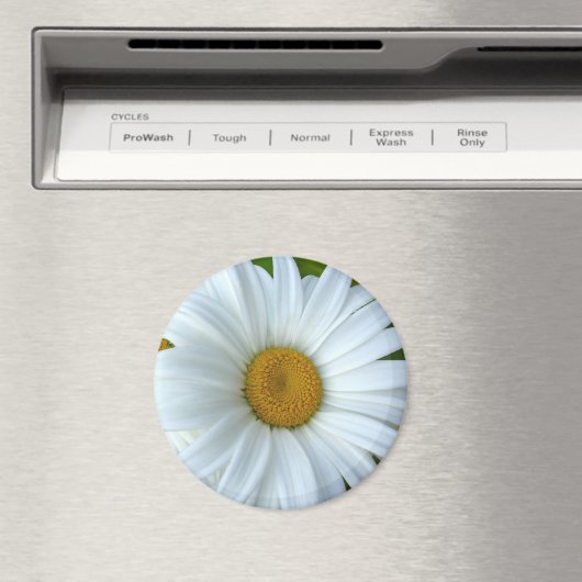 Daisy Fridge Magnet Cheerful Flower Daisy Gifts (Insitu (Vaatwasser))