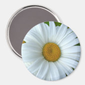 Daisy Fridge Magnet Cheerful Flower Daisy Gifts (Voorkant / Achterkant)