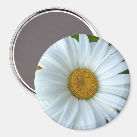 Daisy Fridge Magnet Cheerful Flower Daisy Gifts (Voorkant / Achterkant)