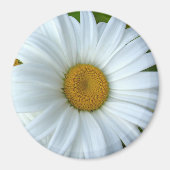 Daisy Fridge Magnet Cheerful Flower Daisy Gifts (Voorkant)