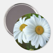 Daisy Fridge Magnet Cheerful Flower Daisy Gifts (Voorkant / Achterkant)