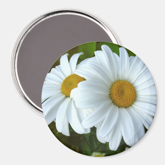 Daisy Fridge Magnet Cheerful Flower Daisy Gifts (Voorkant / Achterkant)