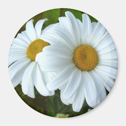 Daisy Fridge Magnet Cheerful Flower Daisy Gifts (Voorkant)