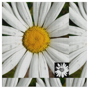 Daisy Fun Stof