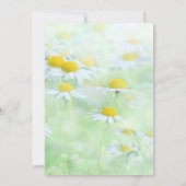 Daisy Funeral | Memorial Foto van Celebrate Life Kaart (Achterkant)