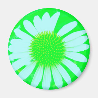Daisy Gek Groen & Witte Daisy Magneet