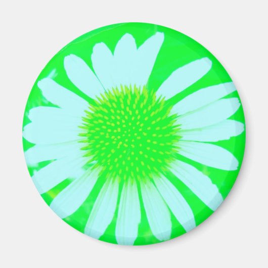 Daisy Gek Groen & Witte Daisy Magneet (Voorkant)