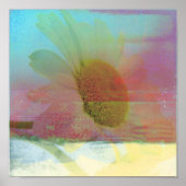 Daisy Glitch Poster (Voorkant)