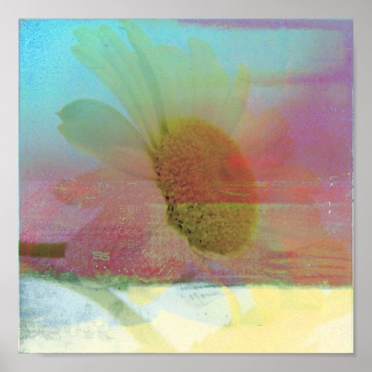 Daisy Glitch Poster (Voorkant)