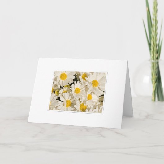 Daisy Groeten Kaart (Voorkant)