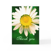 Daisy Hartelijk dank