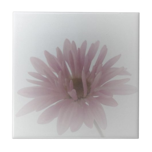 Daisy Haze Tile Tegeltje (Voorkant)